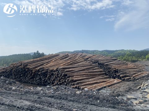 河道打樁為什么選擇松木樁來處理軟地基？-松木樁施工使用范圍